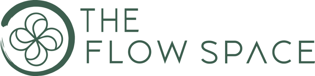 The-Flow-Space