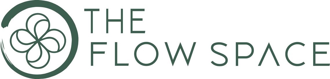 The-Flow-Space